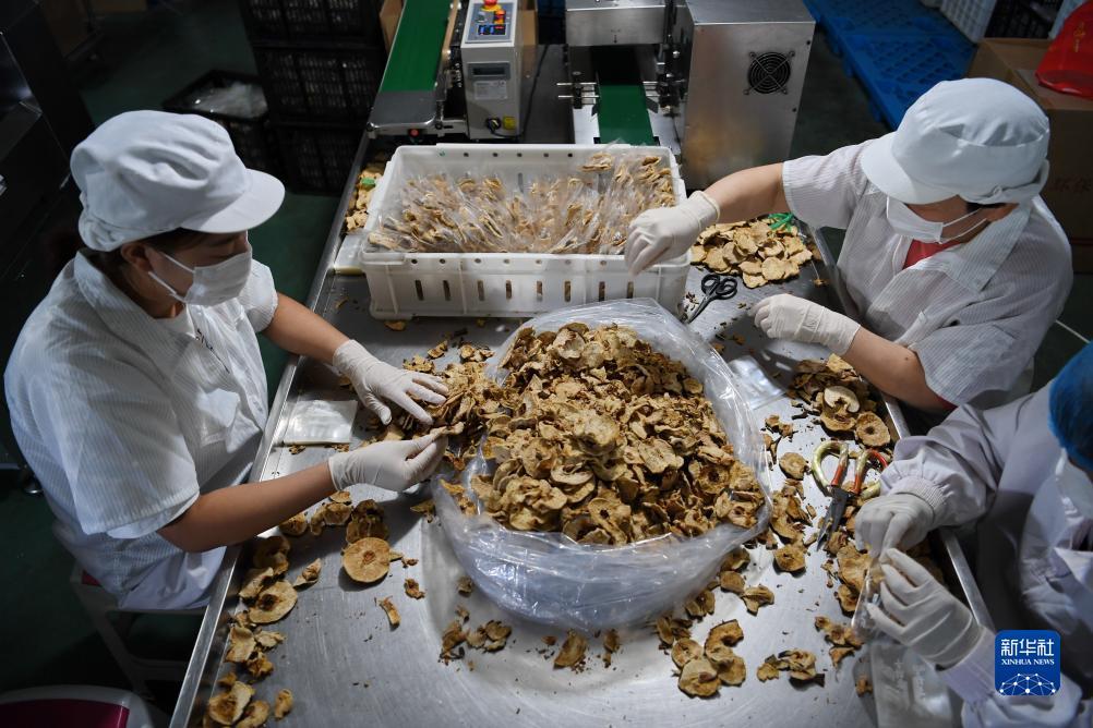 澳门新银河游戏